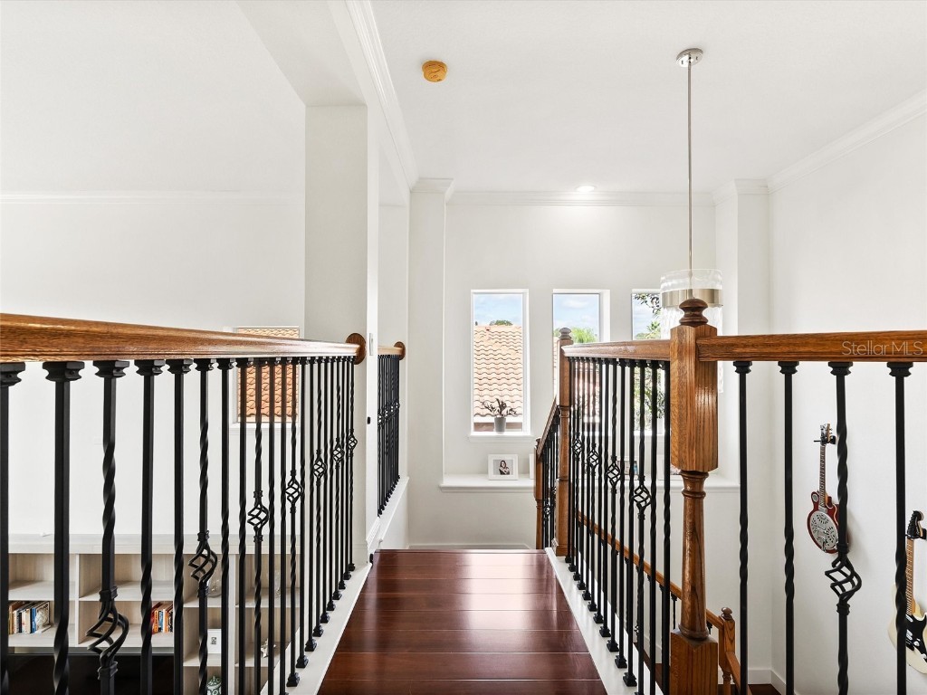 17420 Varona Place Lutz FL 33548 TB8445341 image49