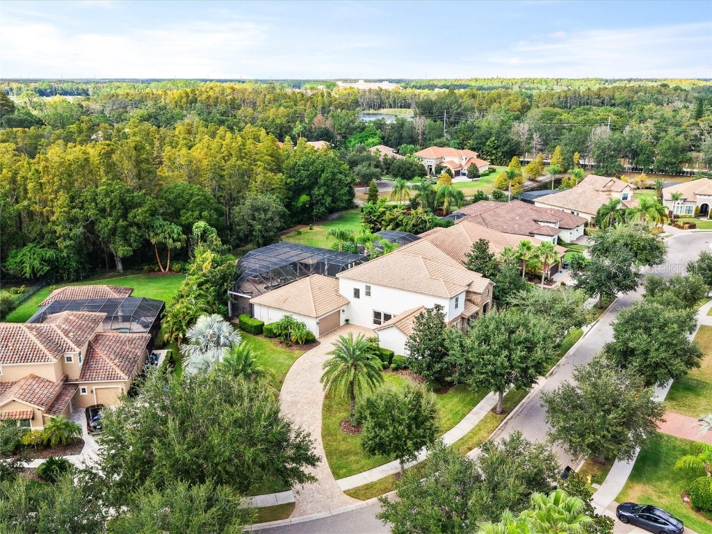 17420 Varona Place Lutz FL 33548 TB8445341 image5