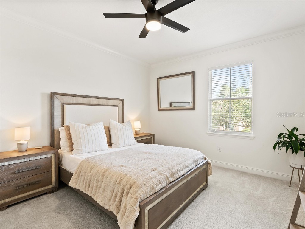 17420 Varona Place Lutz FL 33548 TB8445341 image53