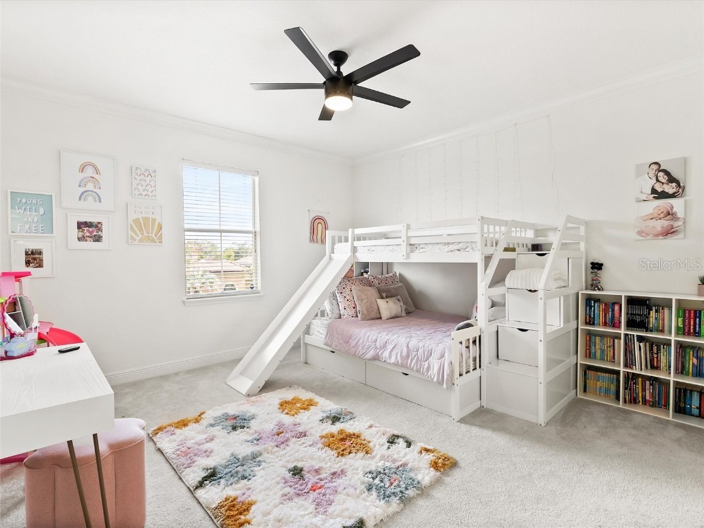 17420 Varona Place Lutz FL 33548 TB8445341 image57