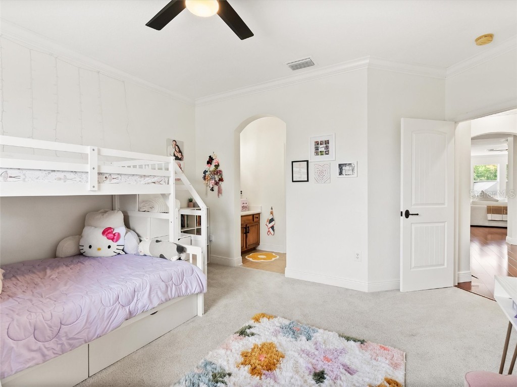 17420 Varona Place Lutz FL 33548 TB8445341 image58