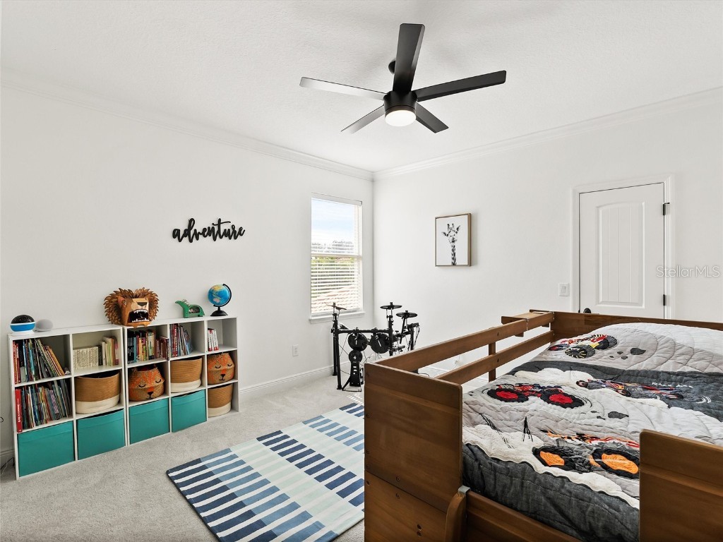 17420 Varona Place Lutz FL 33548 TB8445341 image59