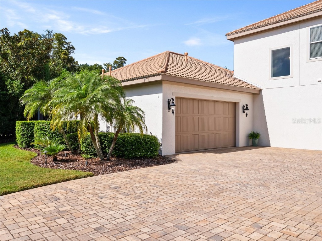 17420 Varona Place Lutz FL 33548 TB8445341 image75