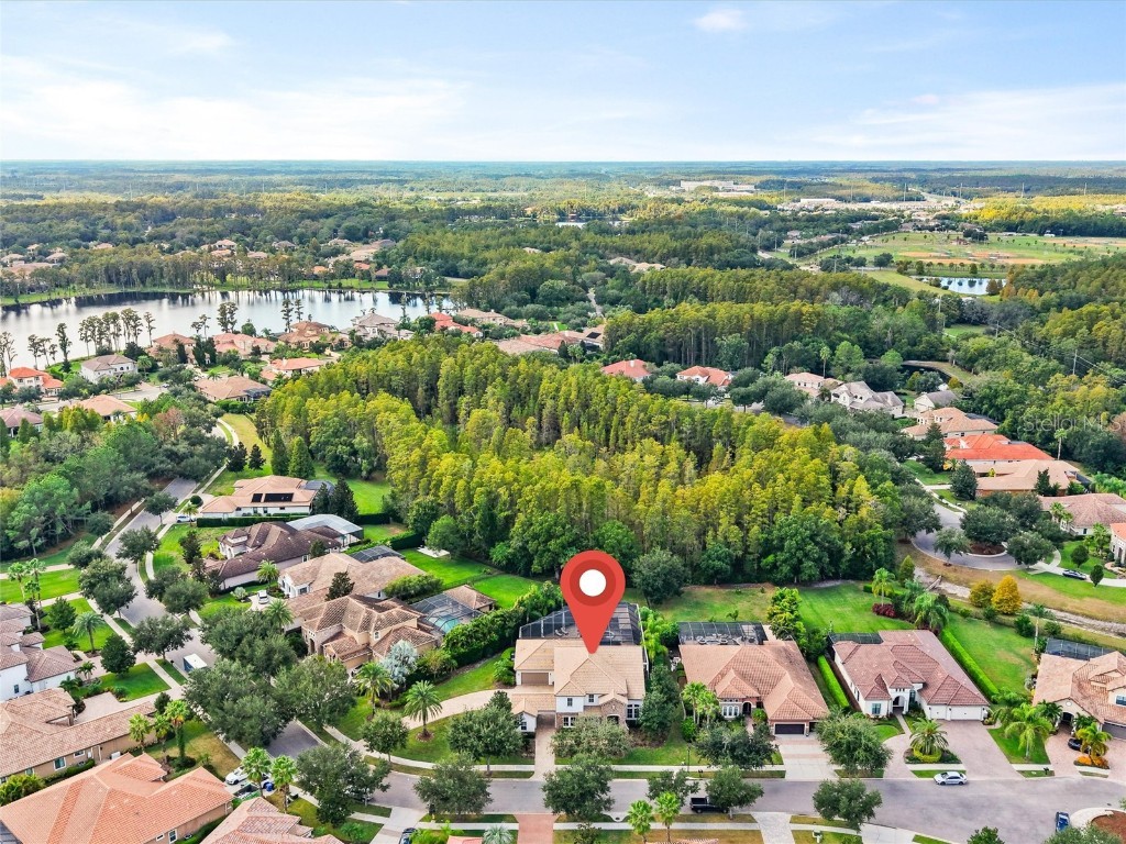 17420 Varona Place Lutz FL 33548 TB8445341 image81