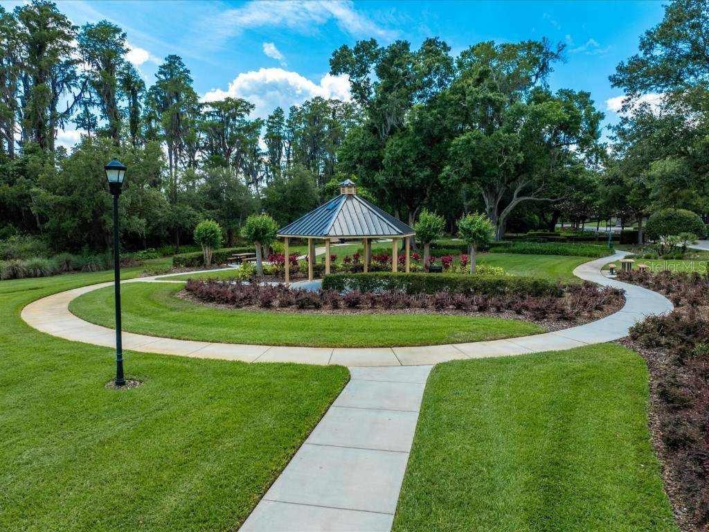 17420 Varona Place Lutz FL 33548 TB8445341 image82