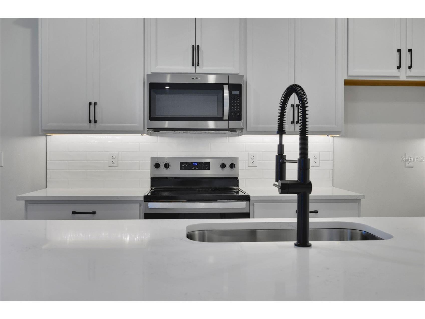 17421 Crisp Apple Lane Land O Lakes FL 34638 G5101115 image26