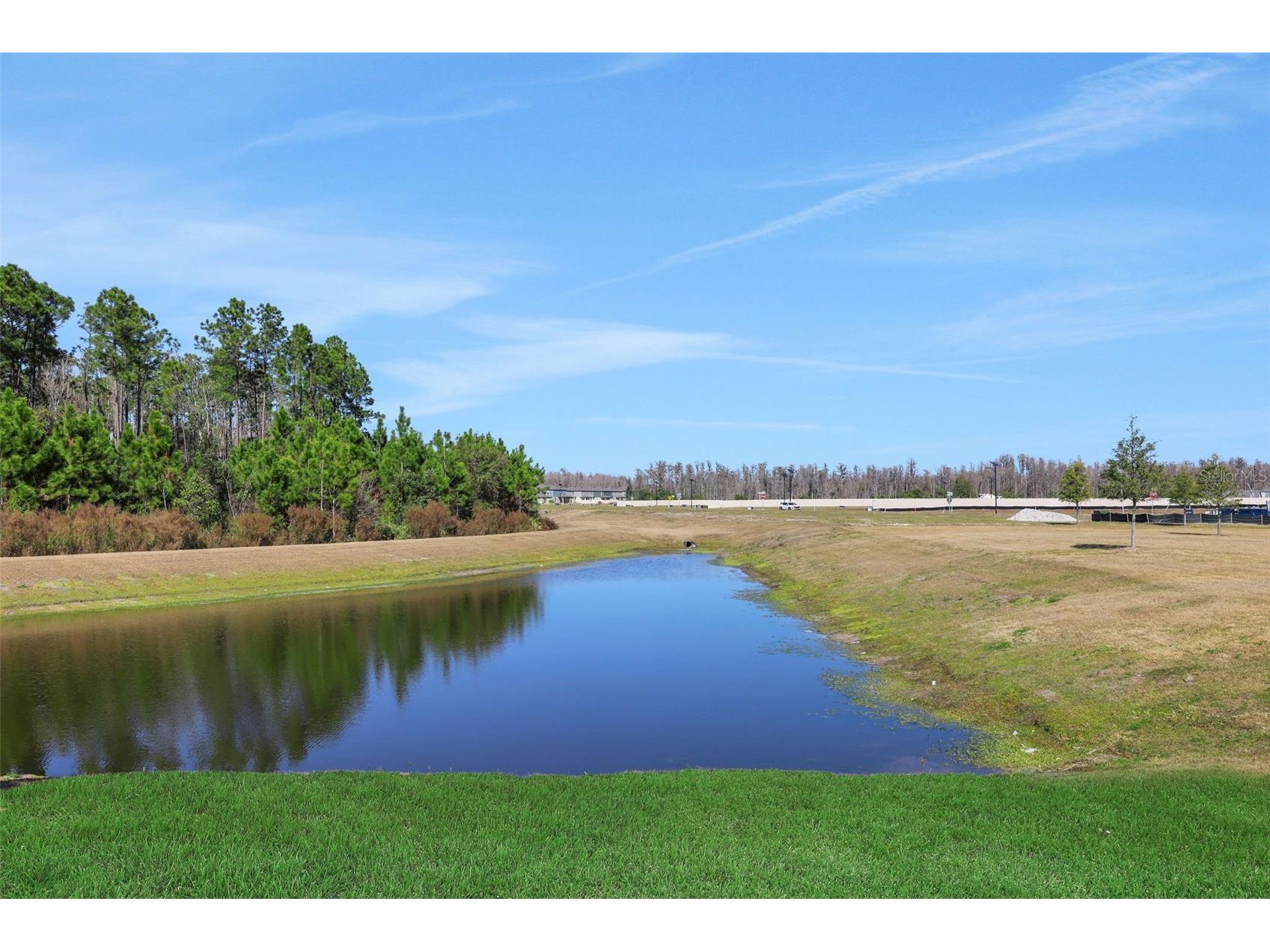 17421 Crisp Apple Lane Land O Lakes FL 34638 G5101115 image8