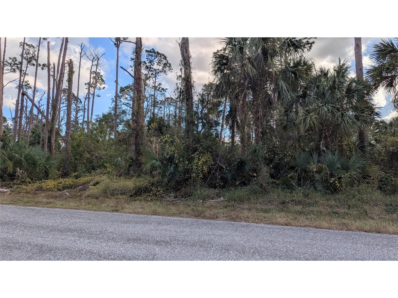 17421 Dudley Avenue Port Charlotte FL 33954 D6139601 image1