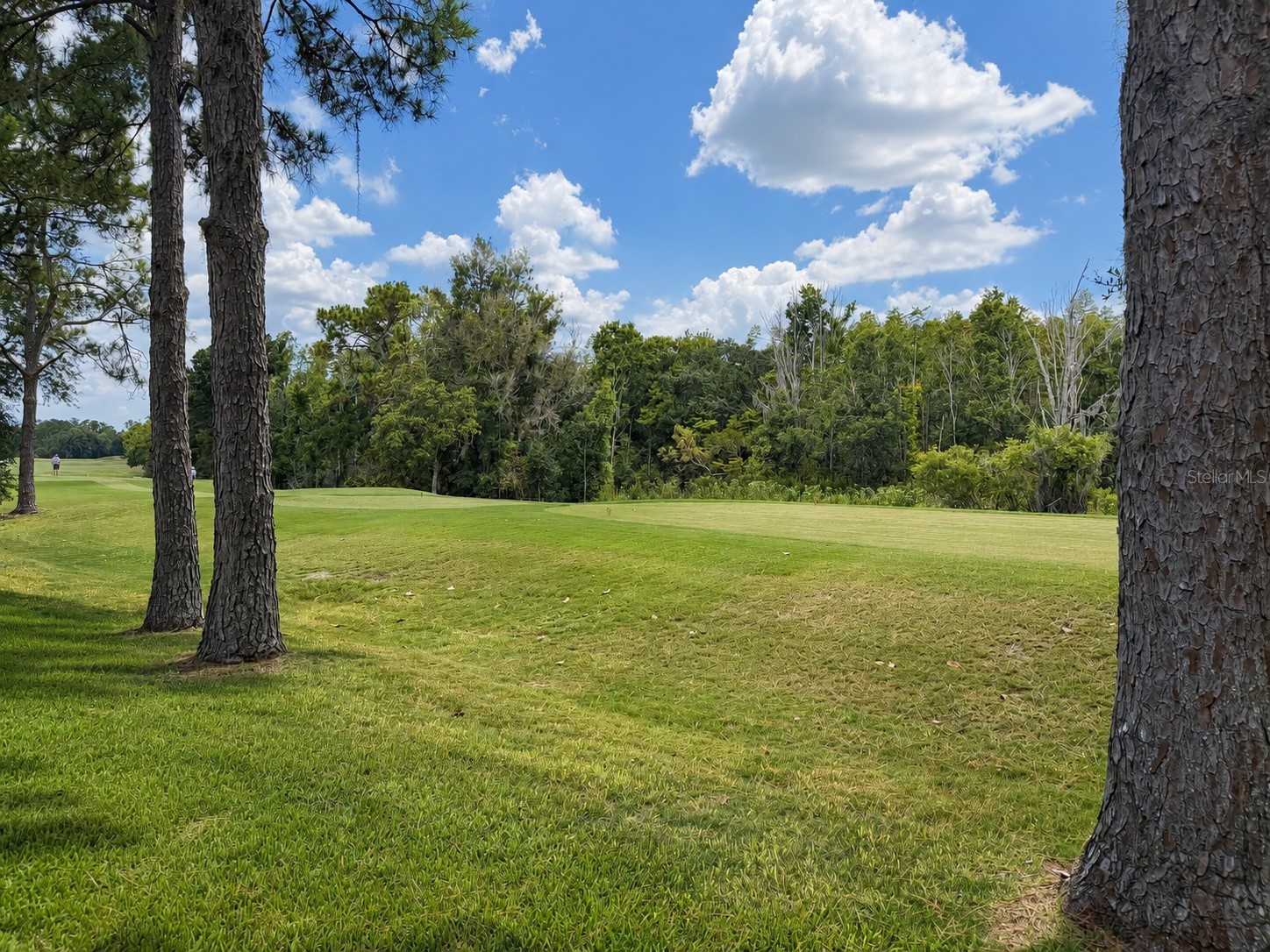 17422 Heather Oaks Place Tampa FL 33647 TB8523600 image3