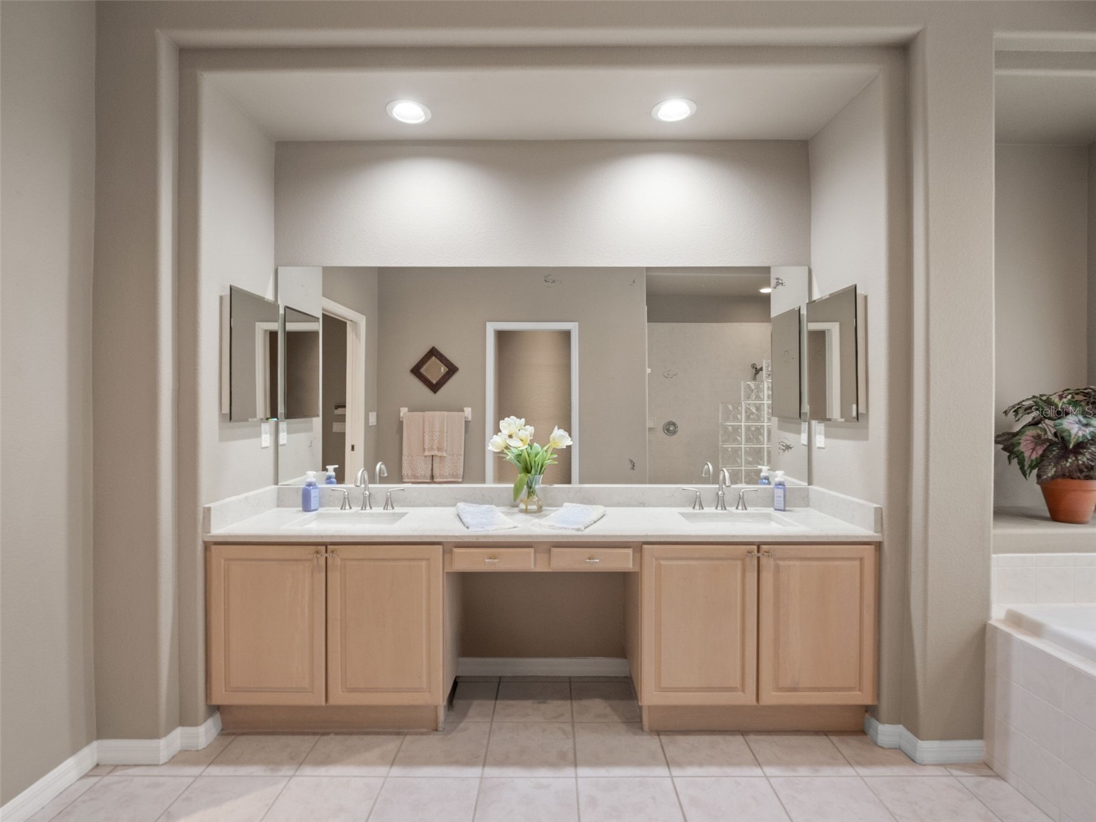 17422 Heather Oaks Place Tampa FL 33647 TB8523600 image34