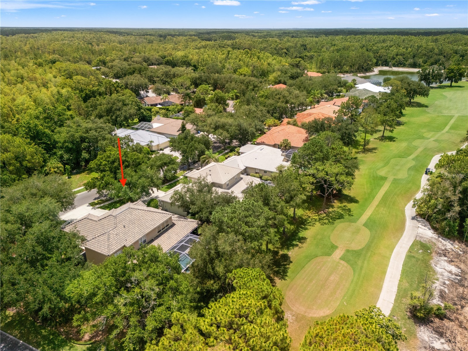 17422 Heather Oaks Place Tampa FL 33647 TB8523600 image4