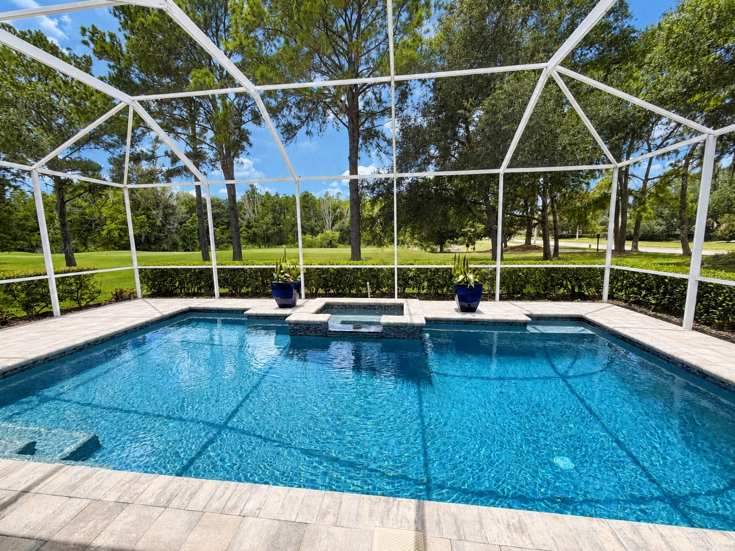 17422 Heather Oaks Place Tampa FL 33647 TB8523600 image52