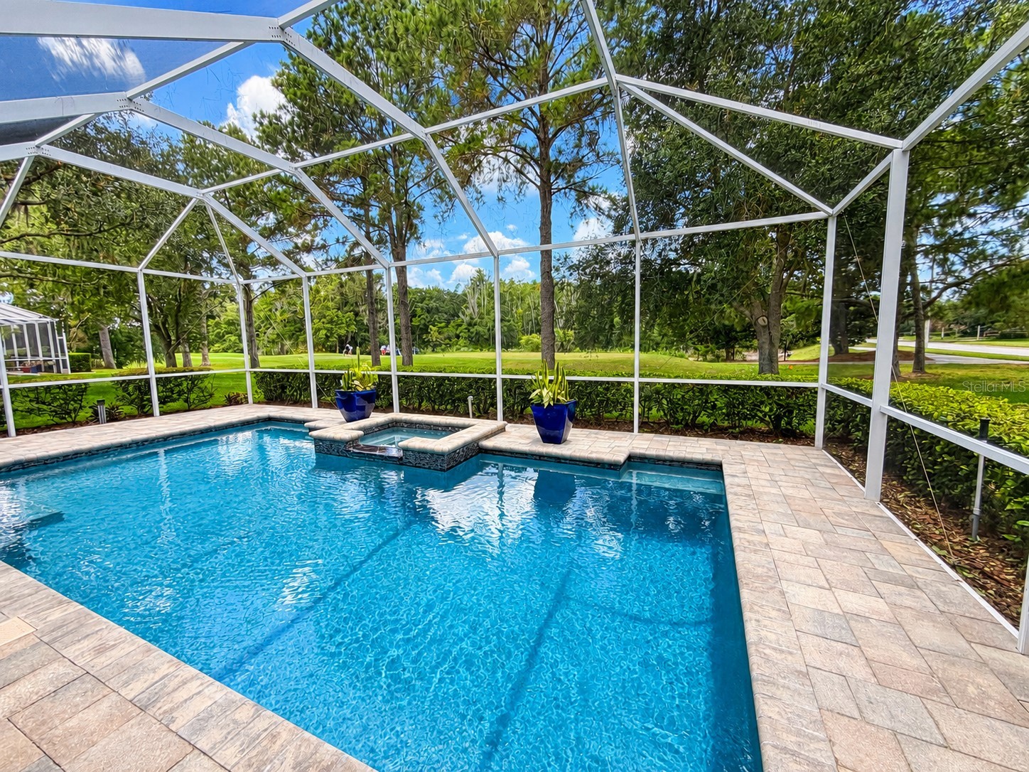 17422 Heather Oaks Place Tampa FL 33647 TB8523600 image53