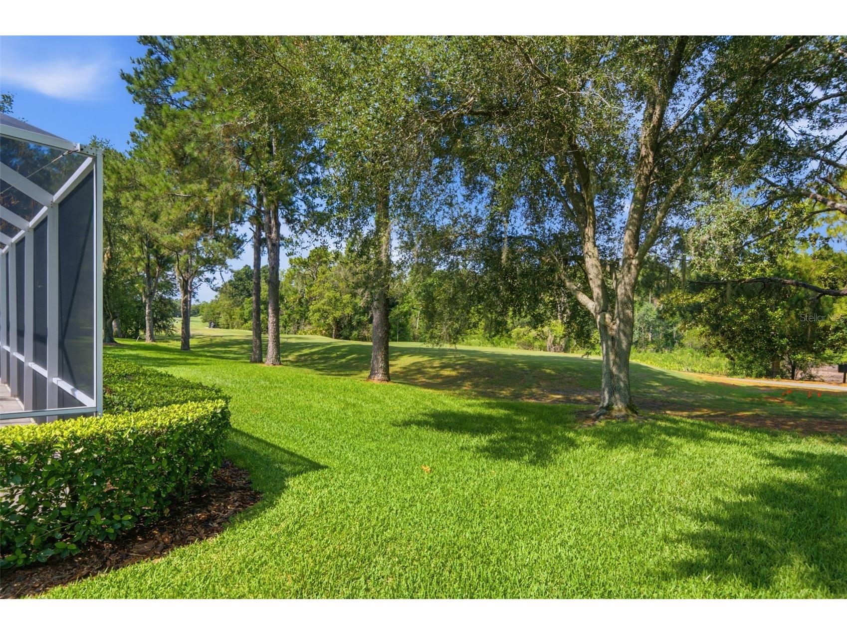 17422 Heather Oaks Place Tampa FL 33647 TB8523600 image61