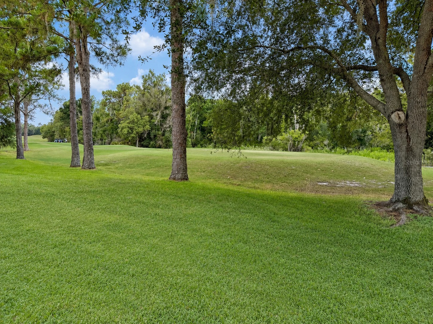 17422 Heather Oaks Place Tampa FL 33647 TB8523600 image67