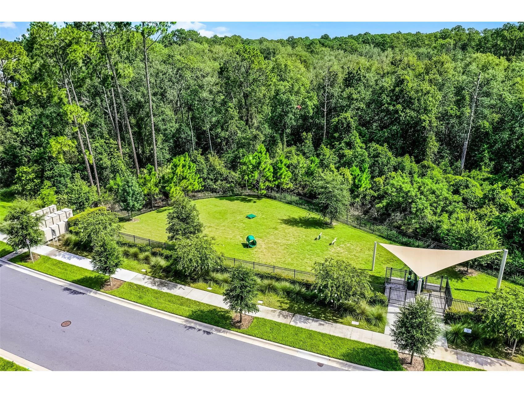 17422 Honeybell Tangelo Court Winter Garden FL 34787 O6409619 image37