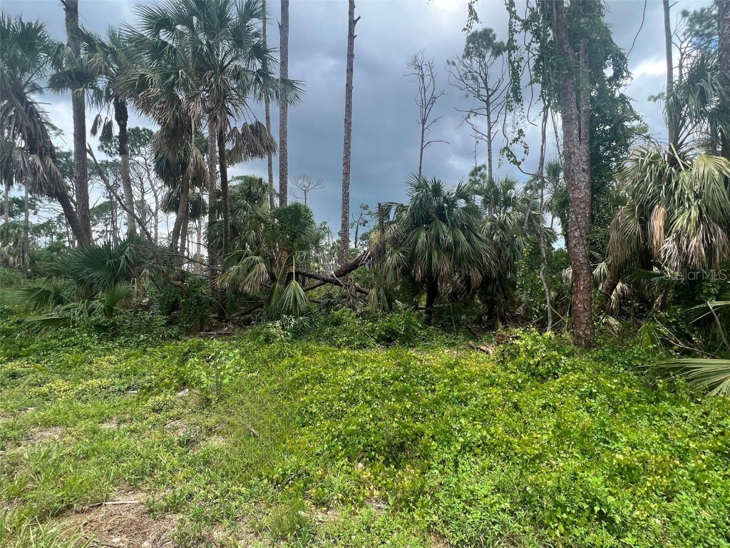 17422 Metcalf Avenue Port Charlotte FL 33954 A4577920 image1