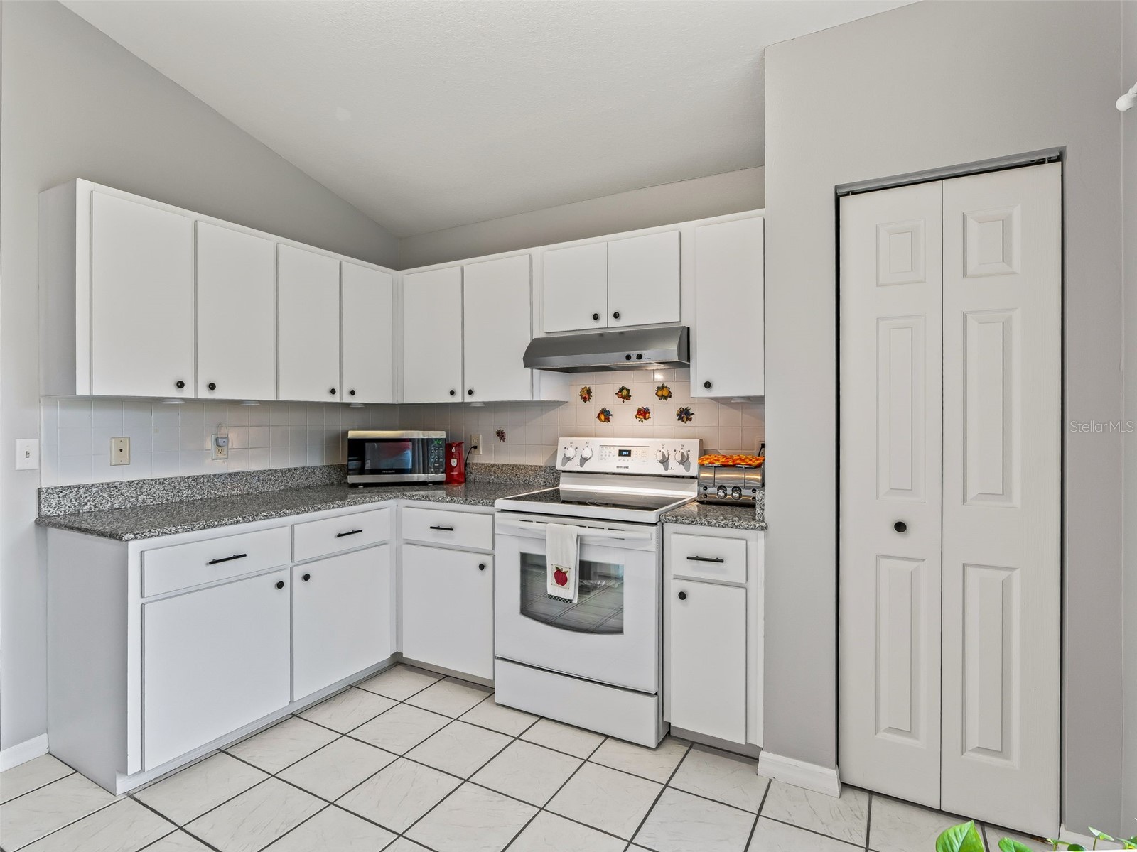 17424 SE 111th Avenue Summerfield FL 34491 G5113331 image14