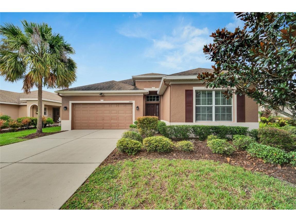 17425 Chelsea Downs Circle Lithia FL 33547 T3542375 image1