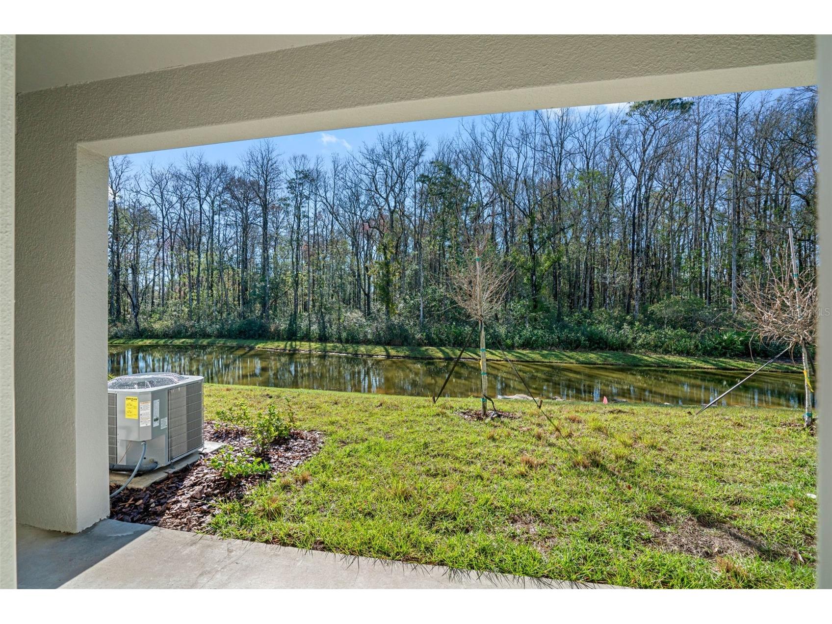 17425 Nectar Flume Drive Land O Lakes FL 34638 TB8483769 image2