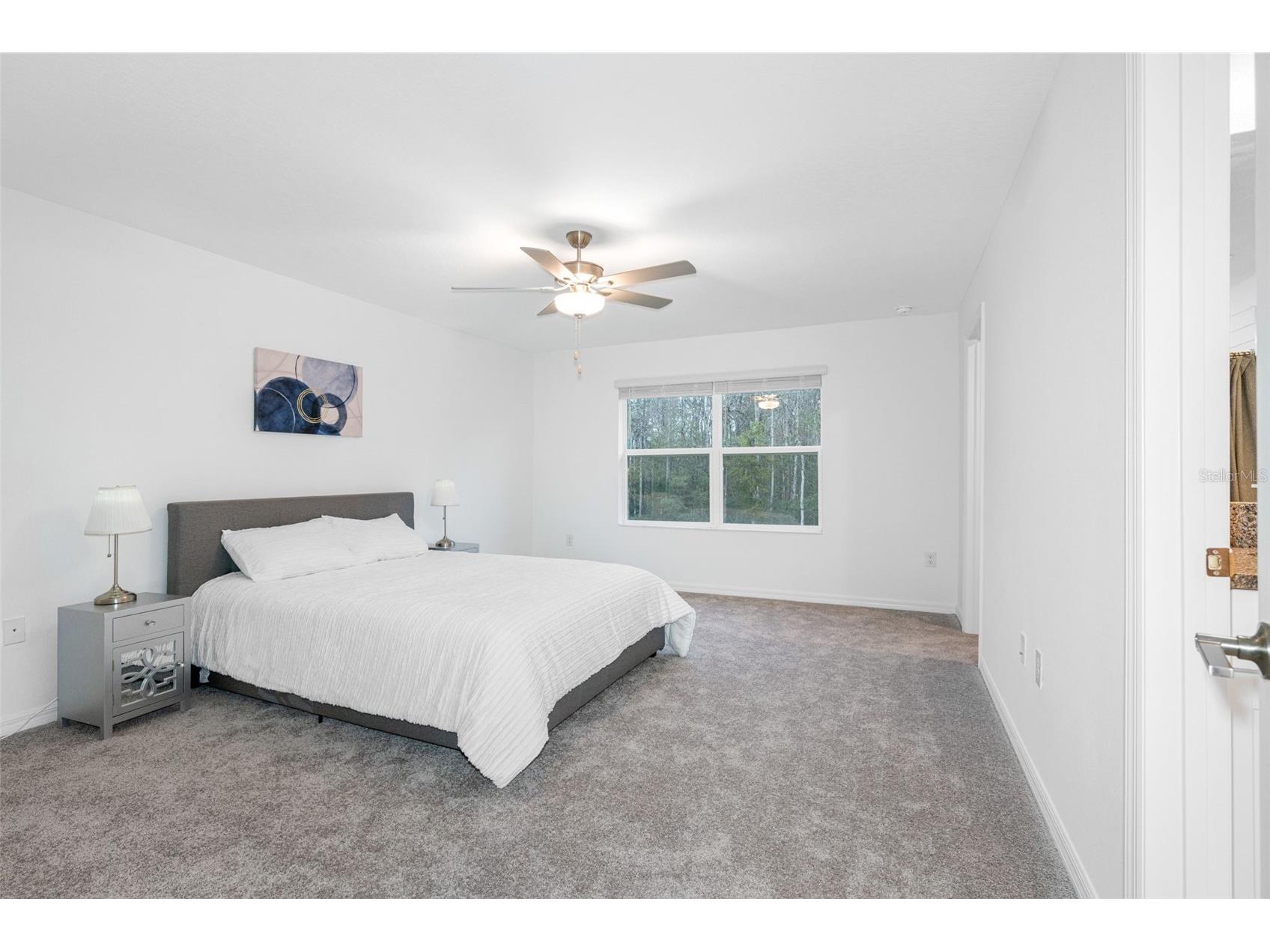 17425 Nectar Flume Drive Land O Lakes FL 34638 TB8483769 image24