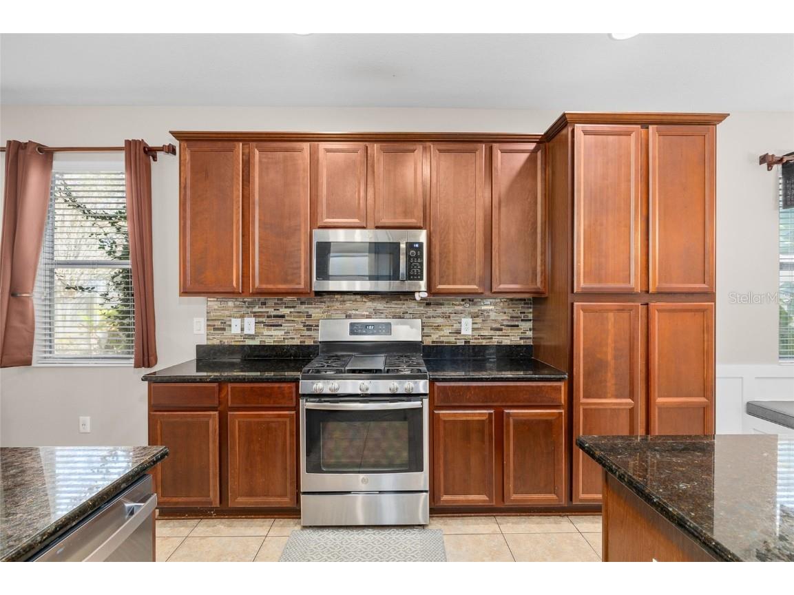 17425 New Cross Circle Lithia FL 33547 TB8453790 image12