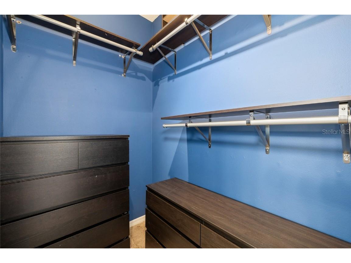 17425 New Cross Circle Lithia FL 33547 TB8453790 image21