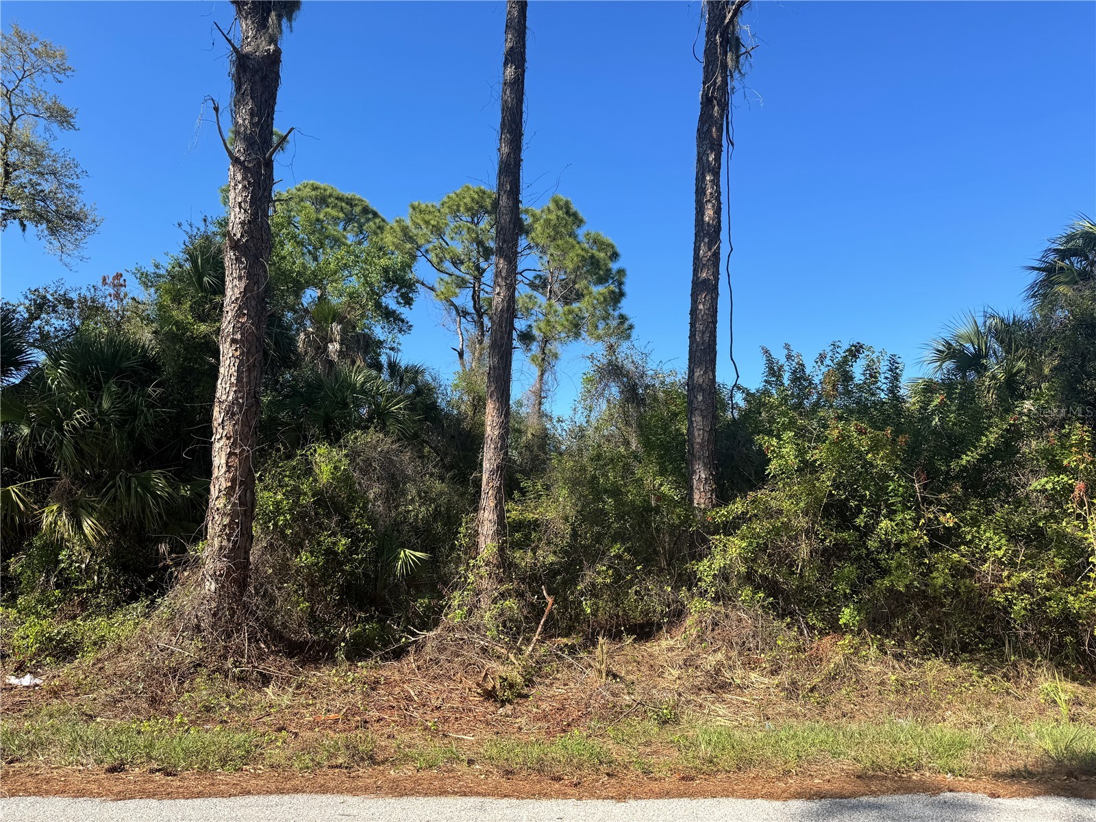 17426 Brighton Avenue Port Charlotte FL 33954 D6146611 image11