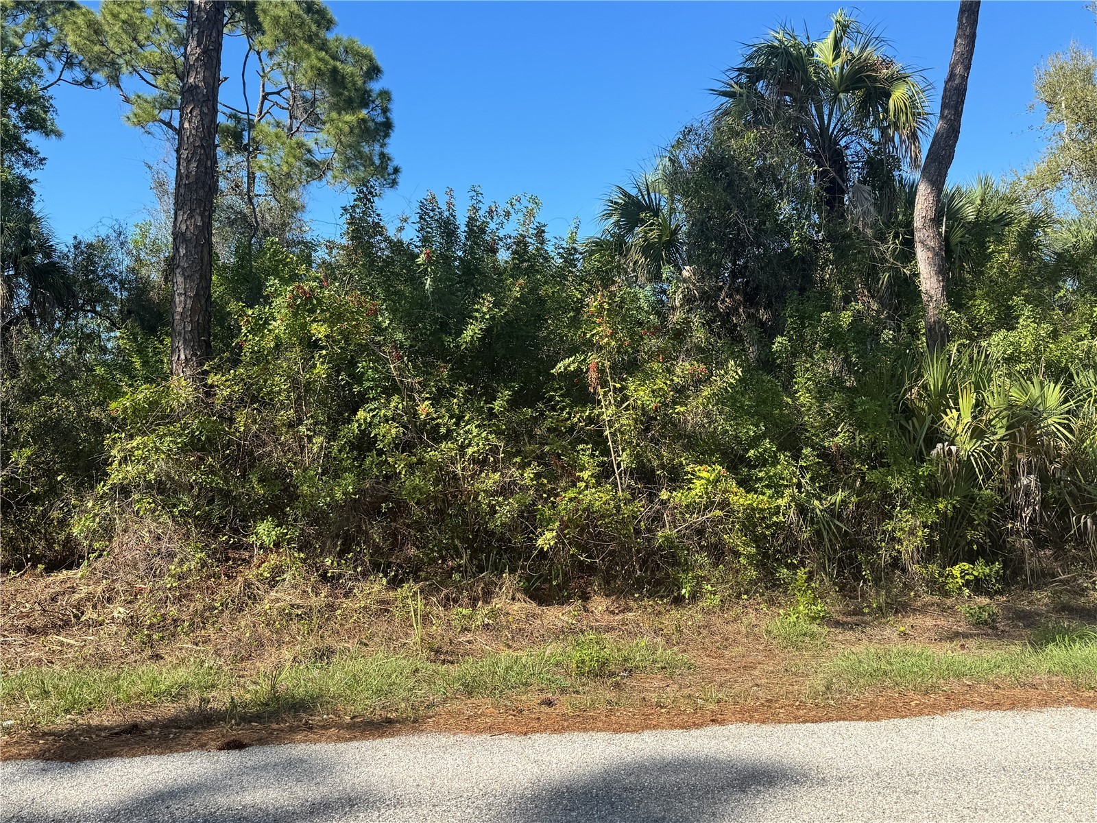 17426 Brighton Avenue Port Charlotte FL 33954 D6146611 image6