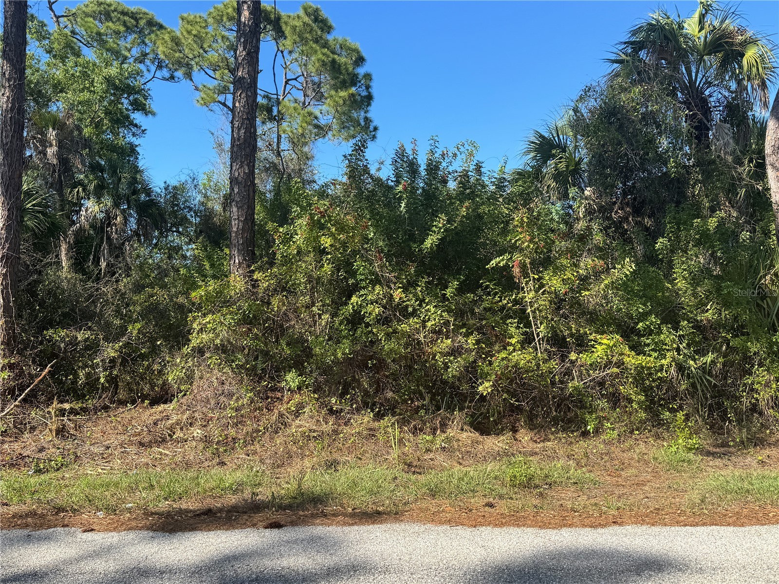 17426 Brighton Avenue Port Charlotte FL 33954 D6146611 image7