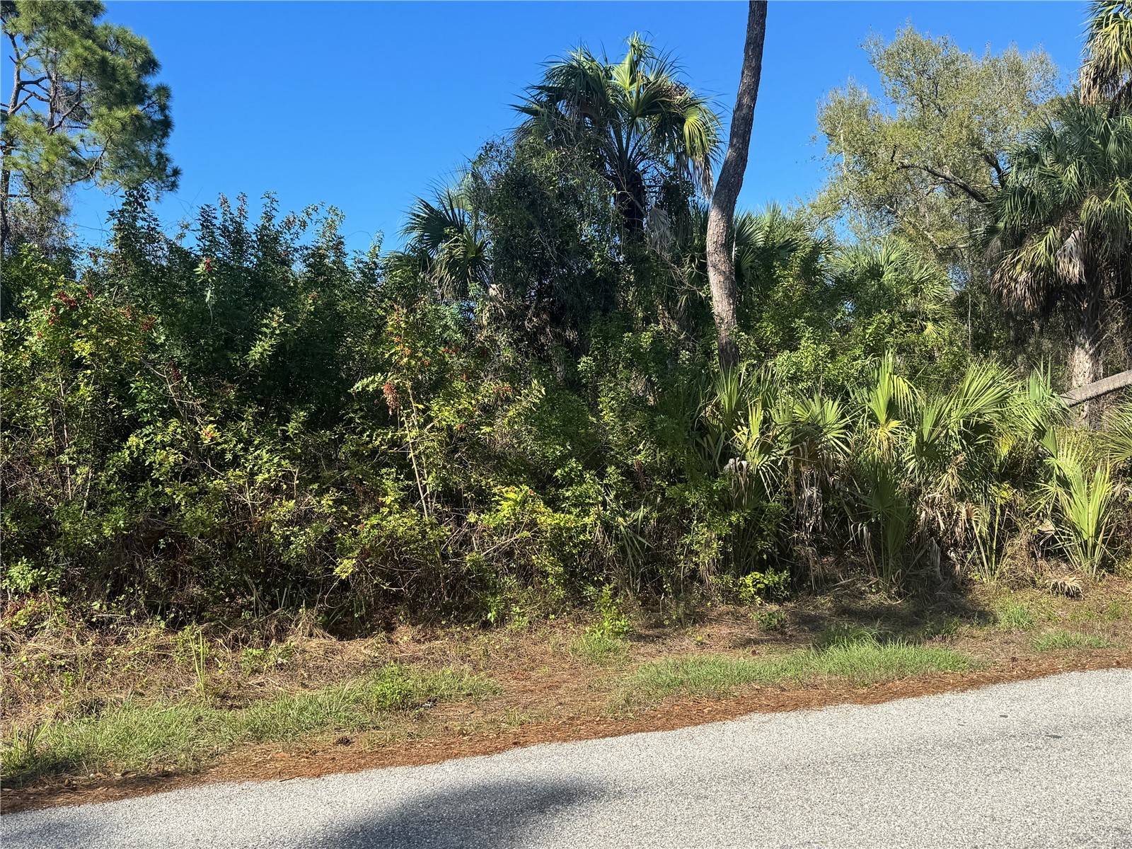 17426 Brighton Avenue Port Charlotte FL 33954 D6146611 image8