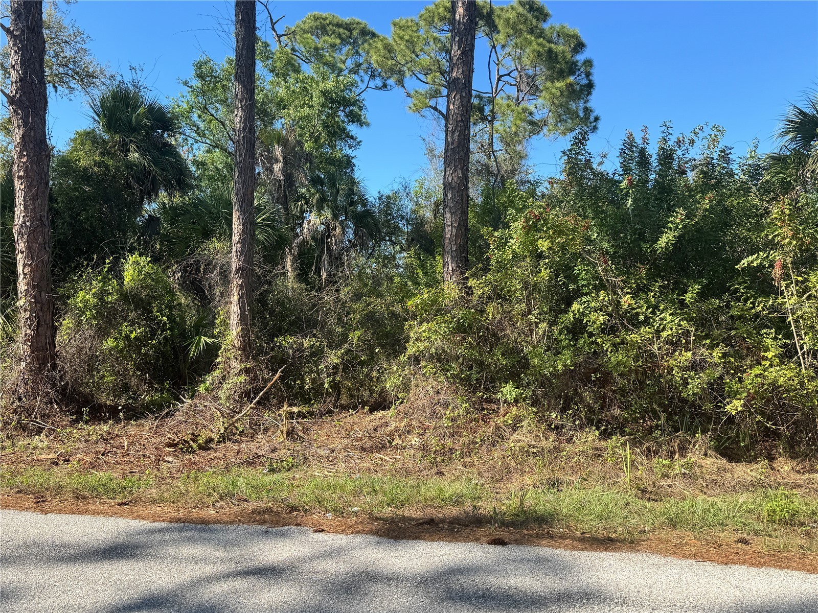 17426 Brighton Avenue Port Charlotte FL 33954 D6146611 image9