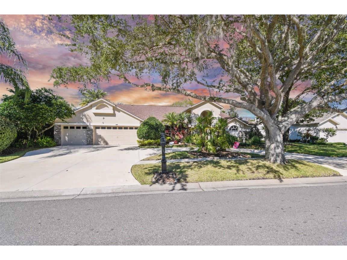 17427 Equestrian Trail Odessa FL 33556 T3422763 image1