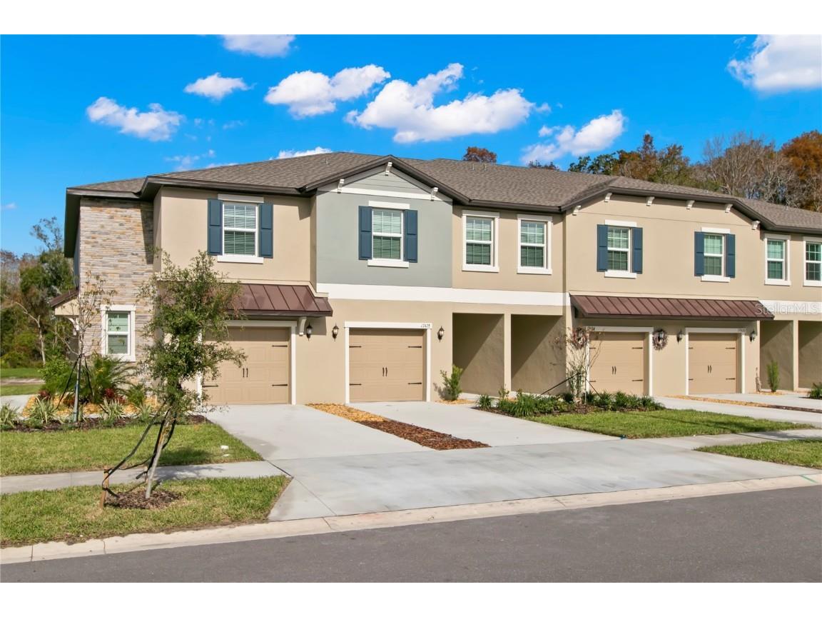 17428 Nectar Flume Drive Land O Lakes FL 34638 U8223917 image1