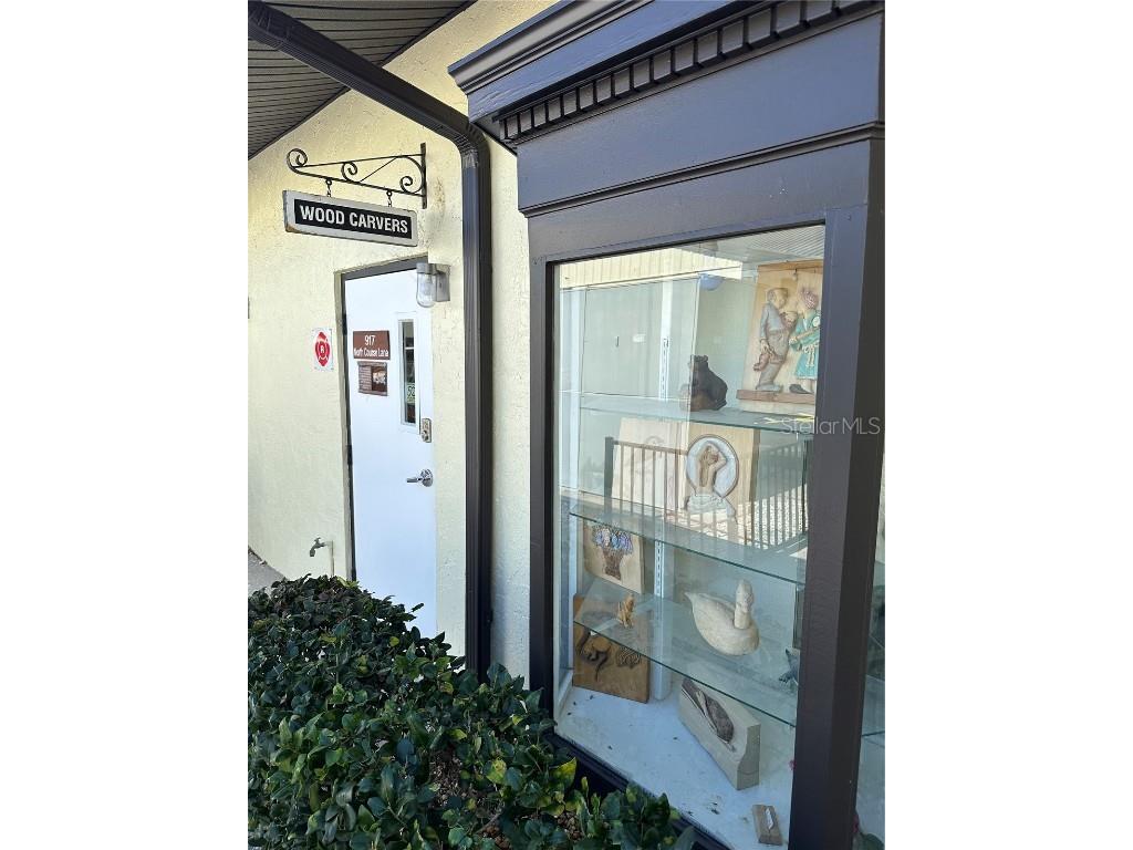 1743 Council Drive Sun City Center FL 33573 TB8407716 image50