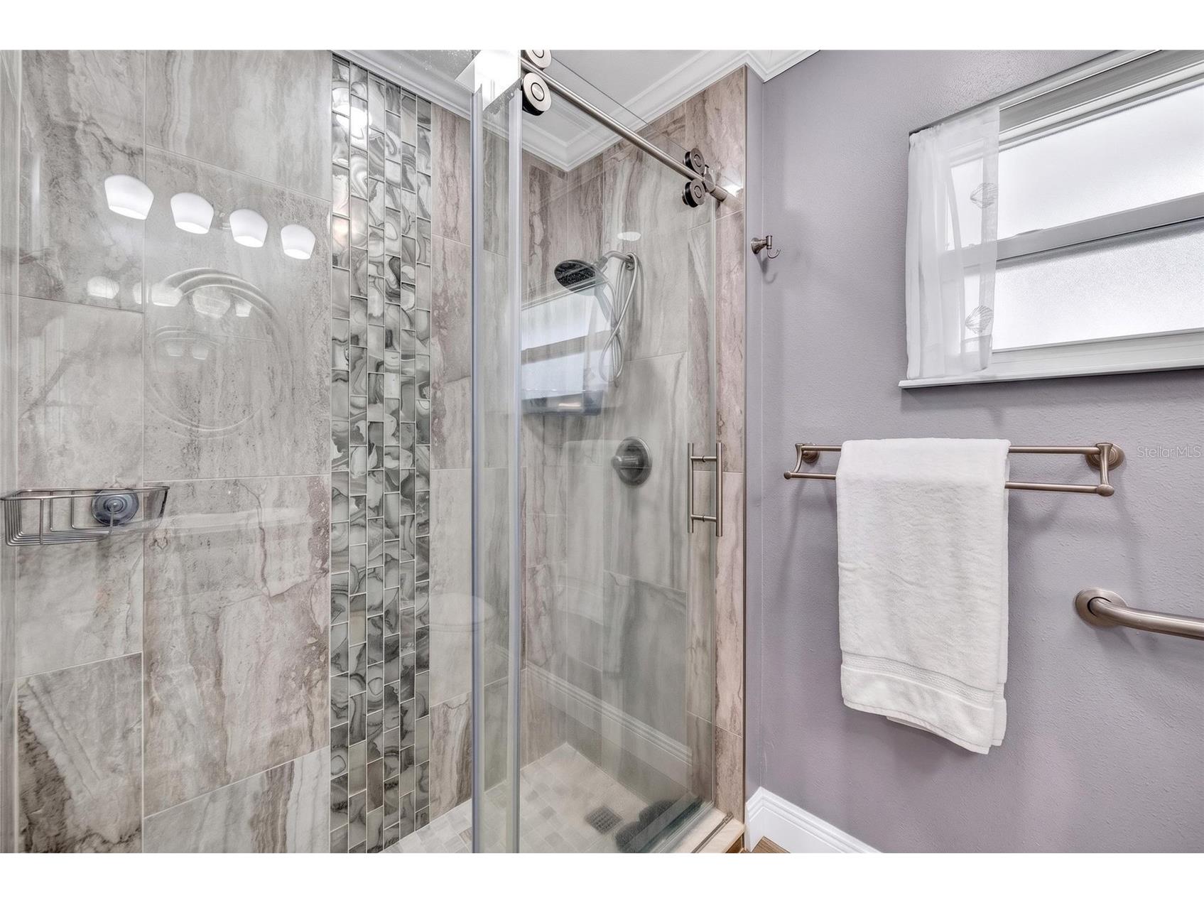 1743 Council Drive Sun City Center FL 33573 TB8516700 image37