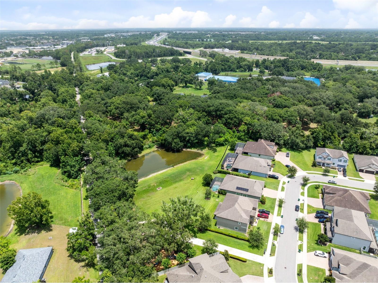 1743 Fullers Oak Loop Winter Garden FL 34787 O6419299 image31