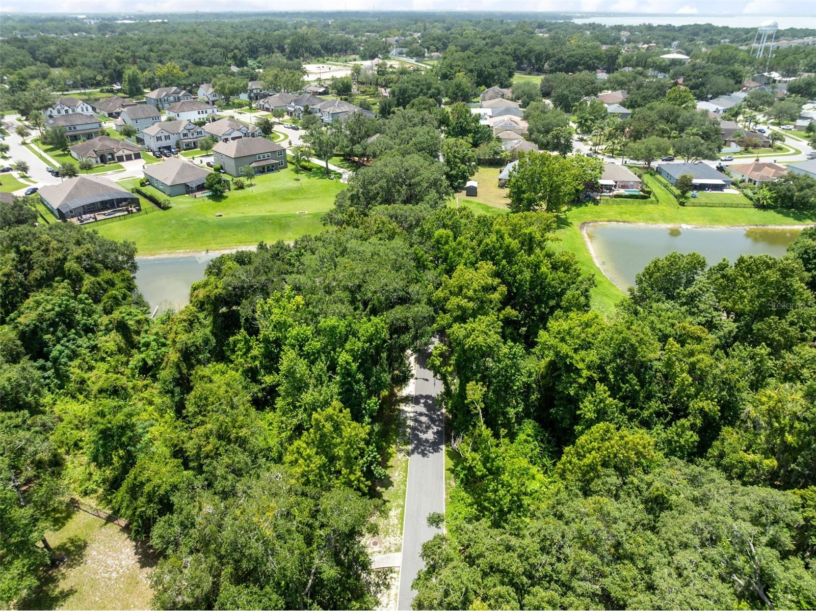 1743 Fullers Oak Loop Winter Garden FL 34787 O6419299 image35