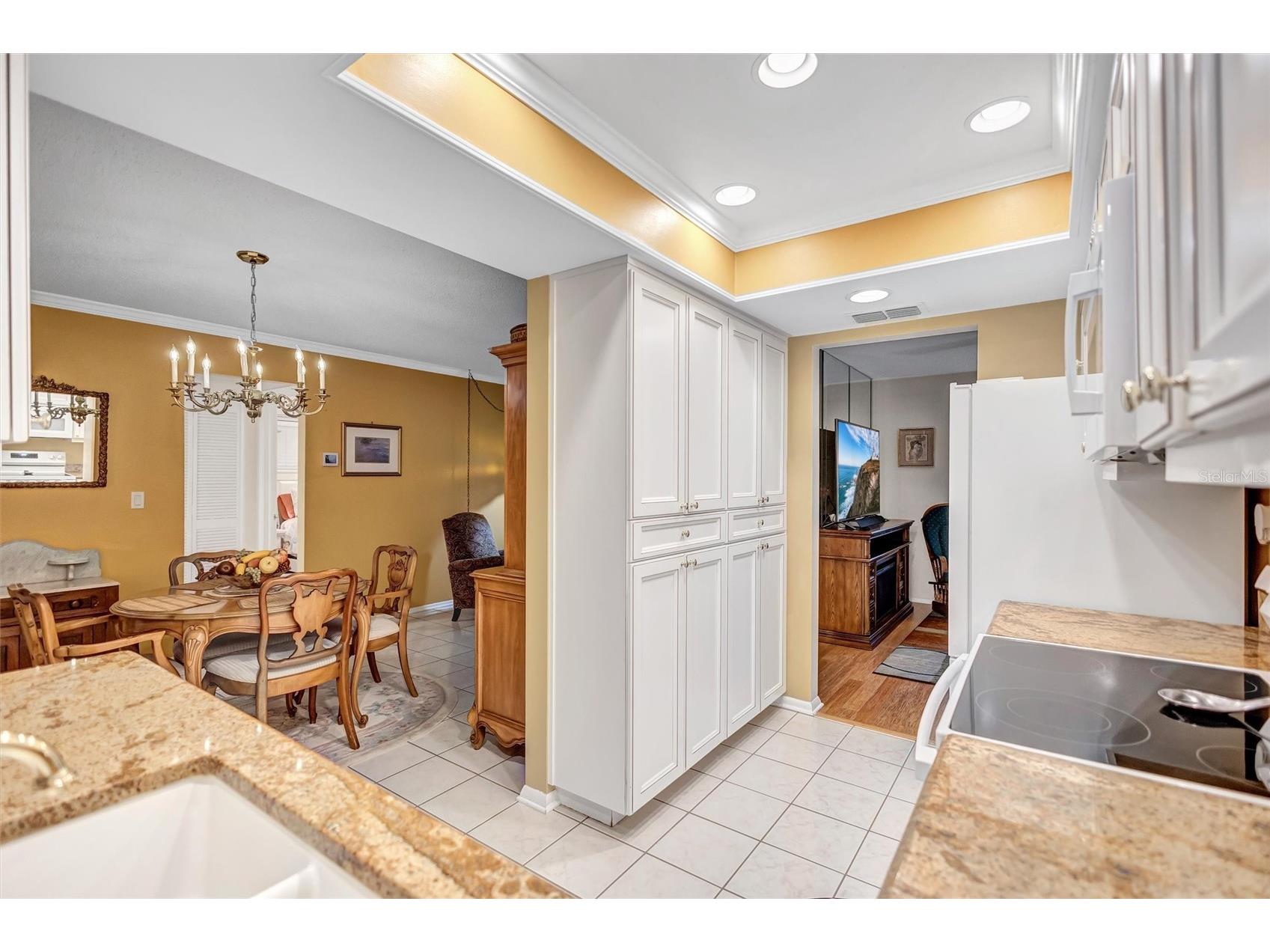1743 Macdonnell Drive Palm Harbor FL 34684 TB8524182 image11