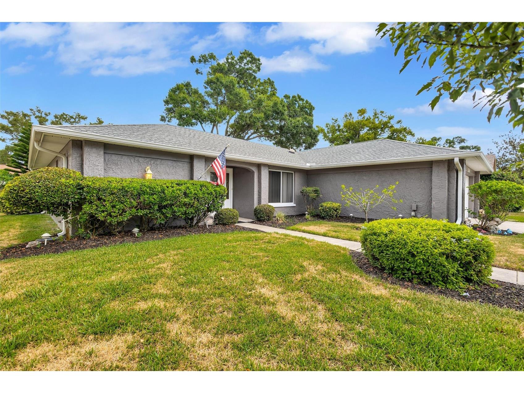 1743 Macdonnell Drive Palm Harbor FL 34684 TB8524182 image3