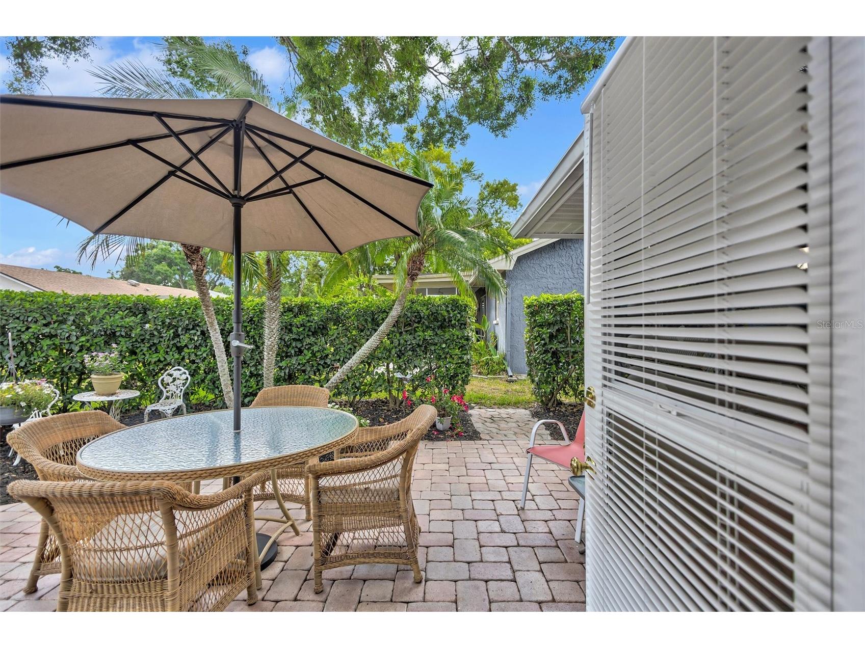 1743 Macdonnell Drive Palm Harbor FL 34684 TB8524182 image45