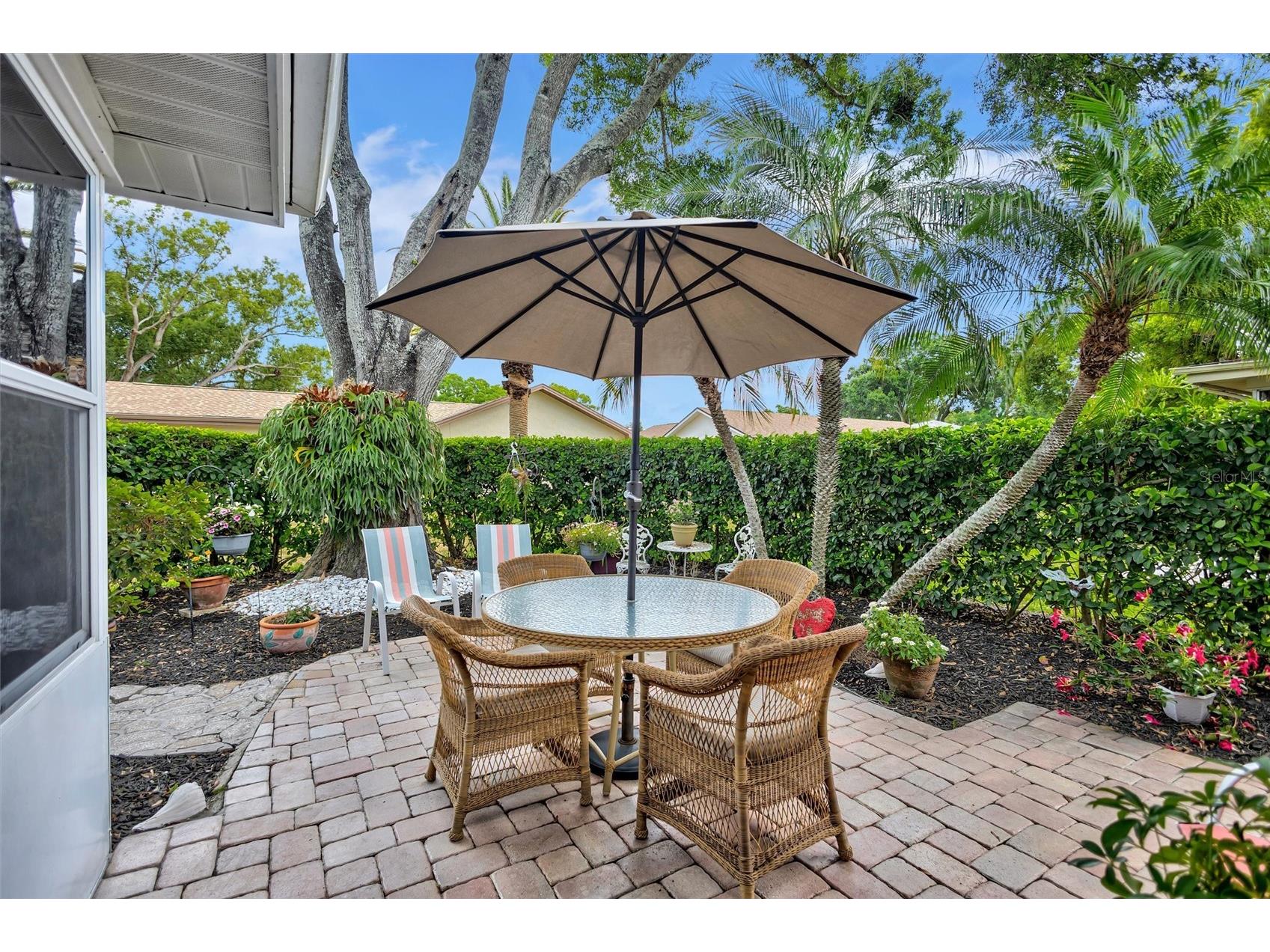 1743 Macdonnell Drive Palm Harbor FL 34684 TB8524182 image48