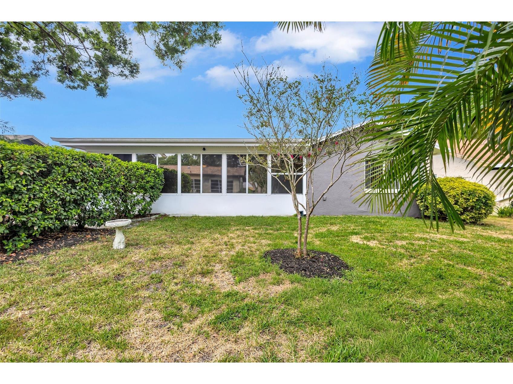 1743 Macdonnell Drive Palm Harbor FL 34684 TB8524182 image52