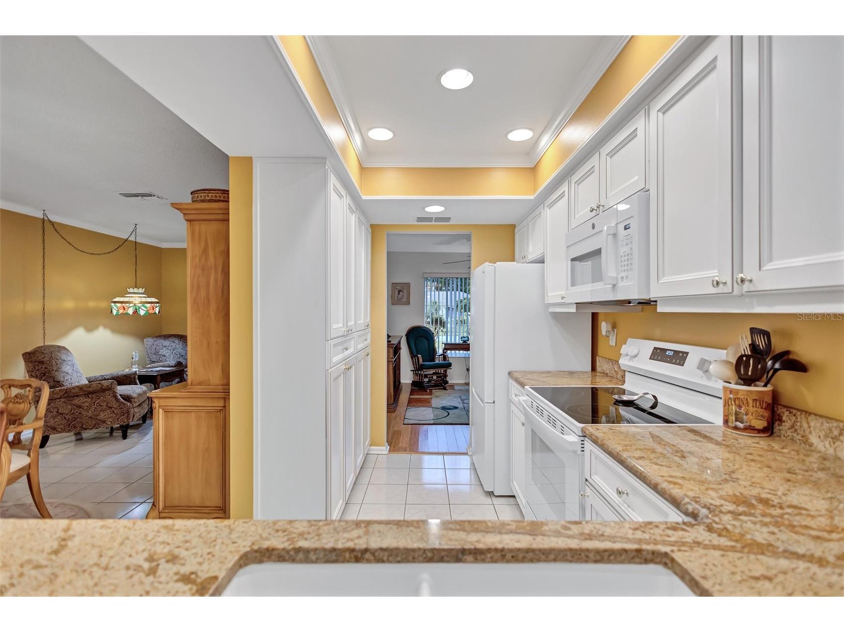 1743 Macdonnell Drive Palm Harbor FL 34684 TB8524182 image8