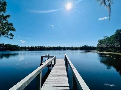 1743 Rowland Drive Odessa FL 33556 - LAKE MINEOLA T3512057 image1