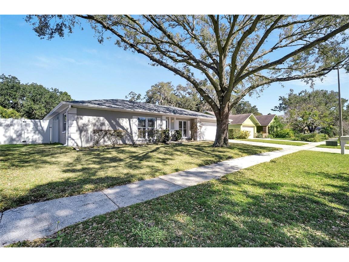 1743 Shady Leaf Drive Valrico FL 33596 T3503508 image1