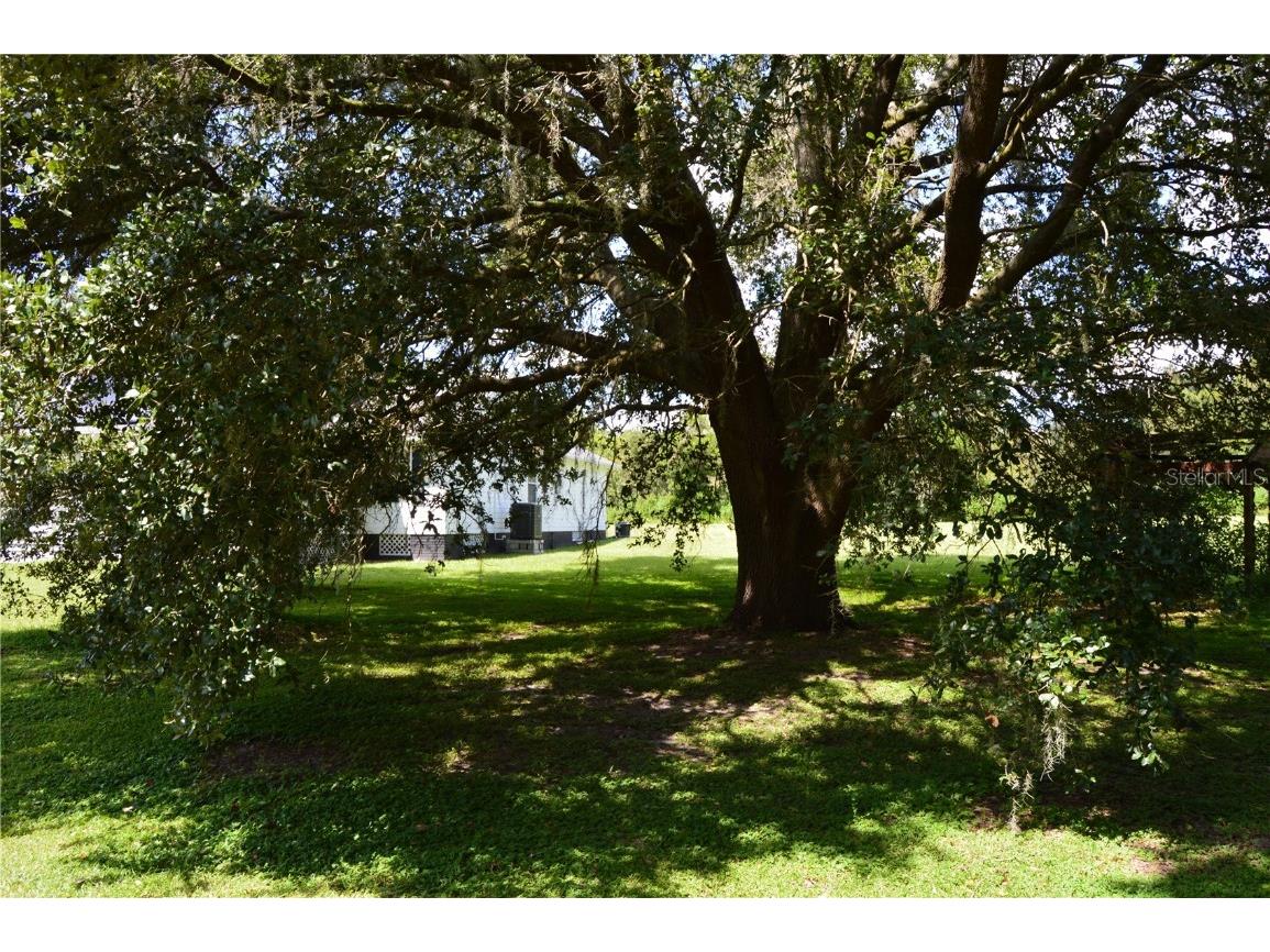 17430 Spring Valley Road Dade City FL 33523 TB8389973 image52