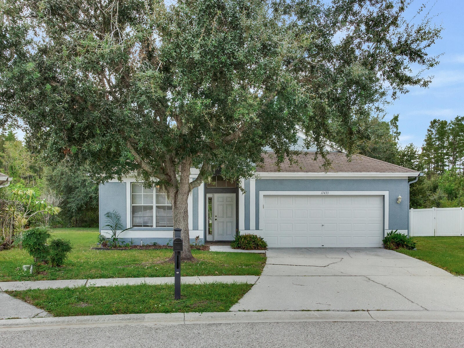 17433 Lawn Orchid Loop Land O Lakes FL 34638 TB8436943 image1