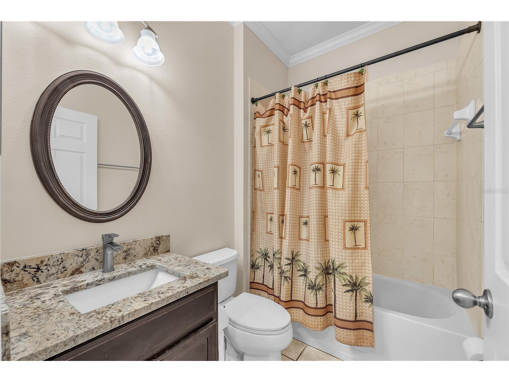 17433 New Cross Circle Lithia FL 33547 TB8512609 image17