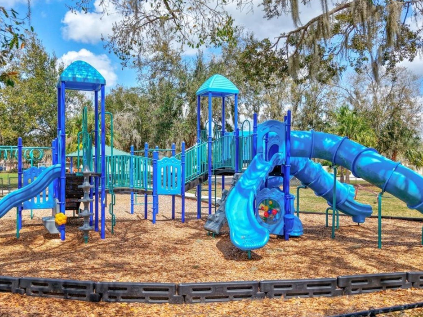 17433 New Cross Circle Lithia FL 33547 TB8512609 image32